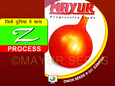 N-241 GAWRAN Onion Seeds